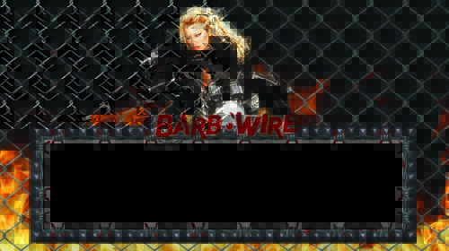 More information about "Barbwire (Gottlieb 1996) PuP Pack Full DMD"