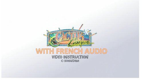 More information about "Cactus Canyon (Bally 1998) - Vpx Video Instruction (French audio)"