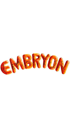 More information about "Embryon (Bally 1981) clear wheel logo 4K"