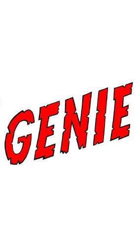 More information about "Genie (Gottlieb 1979) clear wheel logos 4k"