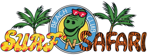 More information about "Surf 'N Safari (Gottlieb 1991)"