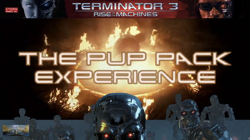 More information about "Terminator 3 Stern 2003 Pup Pack w/1080p B2s and FullDMD"