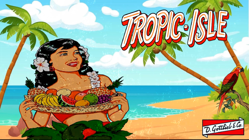 More information about "Tropic Isle (Gottlieb 1962) Topper Video"