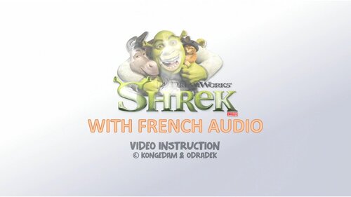 More information about "Shrek (Stern 2008) - Vpx Video Instruction (French audio)"