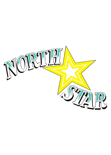 More information about "North Star (Gottlieb 1964) clear wheel logo 4K"