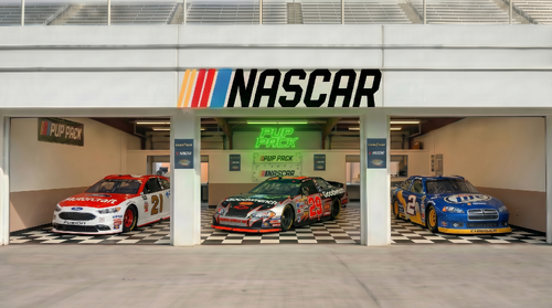 More information about "NASCAR Pup Pack and Alt Sound"