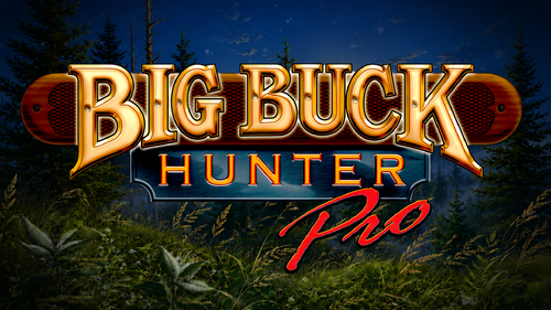 More information about "Big Buck Hunter Pro (Stern 2010) Topper Video"