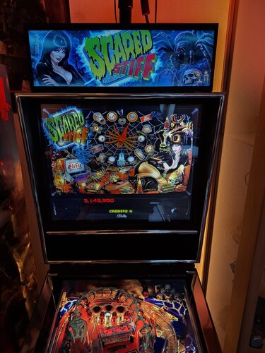 More information about "Scared Stiff (Bally 1996) Topper Video"