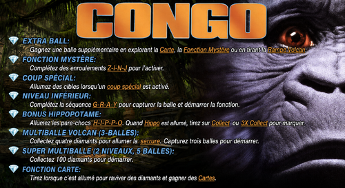 More information about "Carte d'instructions / Règles en Français de Congo (Williams 1995)"