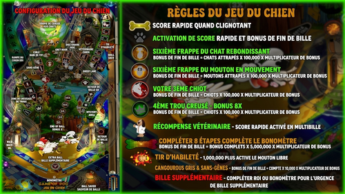 More information about "Carte d'instructions / Règles en Français de GameOfDog"
