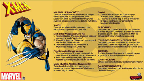 More information about "Carte d'instructions / Règles en Français deX-Men LE (Stern 2012)"