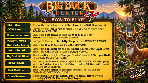 More information about "Big Buck Hunter Pro (Stern 2010) Instruction Card / Rules"