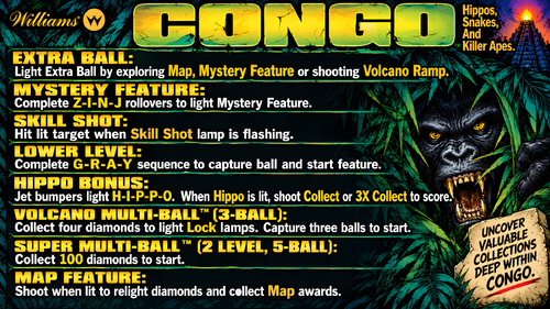 More information about "Congo (Williams 1995) Instruction Card / Rules"