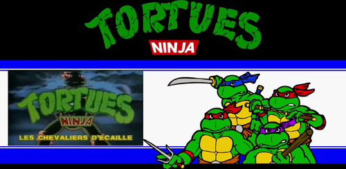 More information about "Backglass Videos francais de Teenage Mutant Ninja Turtles"
