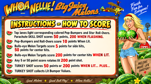 More information about "Whoa Nellie Instruction Card / Rules"