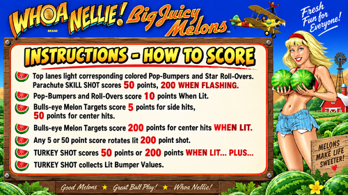 More information about "Whoa Nellie Instruction Card / Rules"